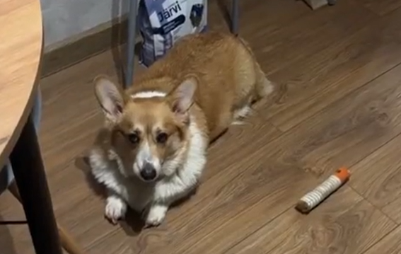 ����� ����������� ��������� ���� (�����)