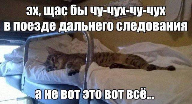 ������� �������� (15 ����)