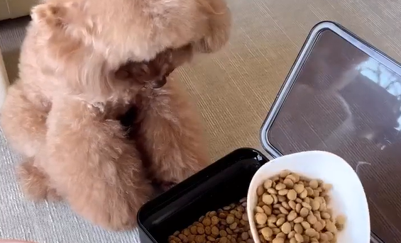 ������������ (�����)