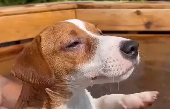 ���������� �� ��������... (�����)