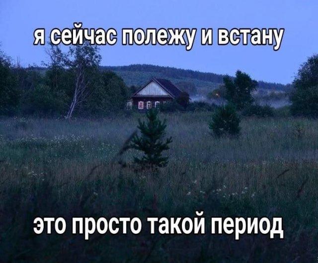 ������� �������� (15 ����)