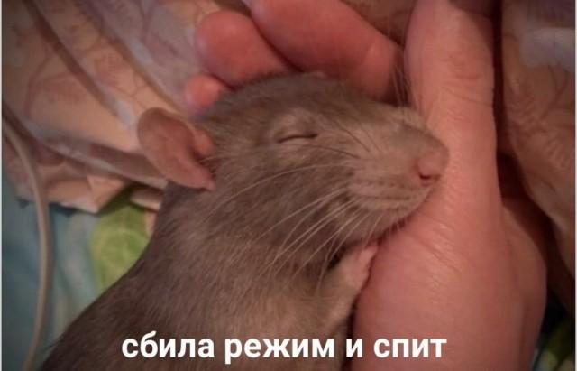 ������ ����� � ���� �� ���� (15 ����)