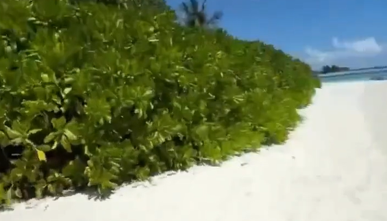 ����� �� ��������� (�����)