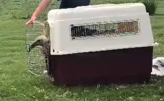 ��������� �� ���� ������ (�����)