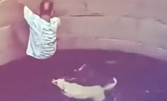 ���� ����� (�����)