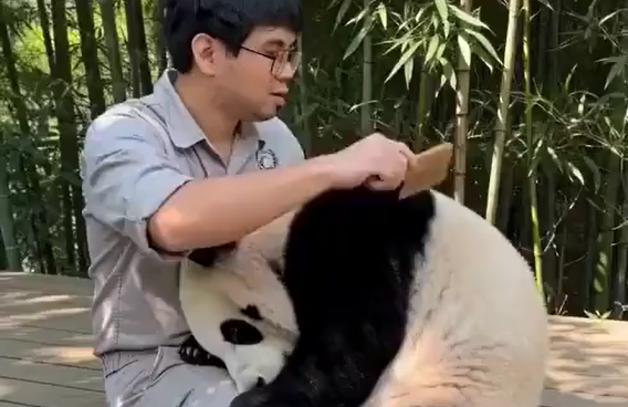 ����� ����! (�����)