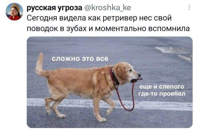 �������� �������� ������ ��� ���� (15 ����)
