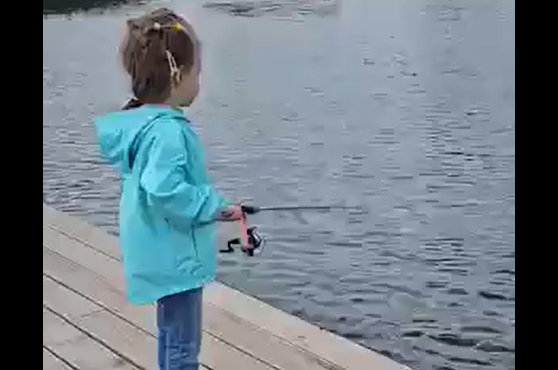 ������� ���� (�����)