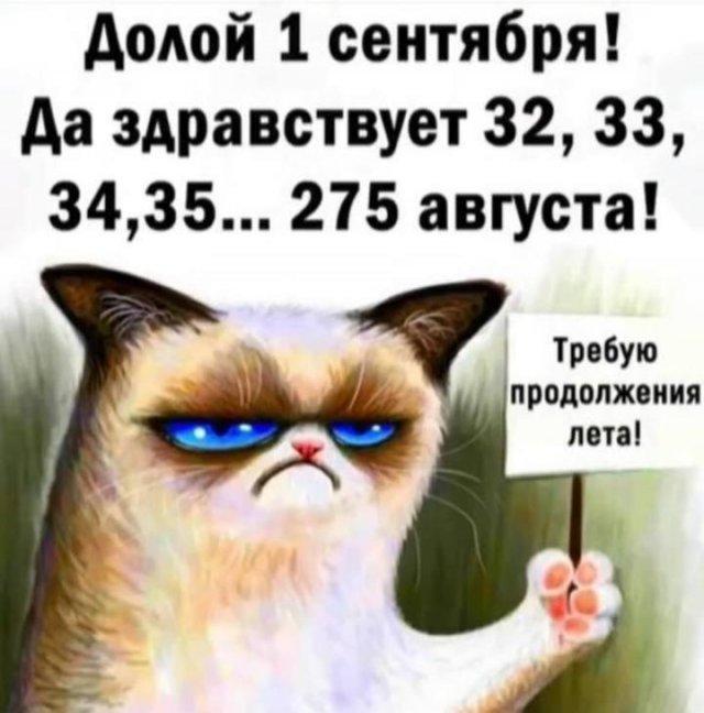������ ����� � ���� ��� ����� (15 ����)
