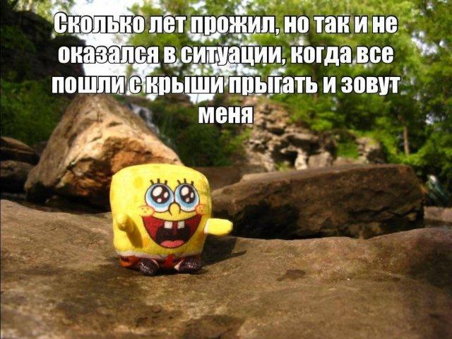 ������� �������� (15 ����)