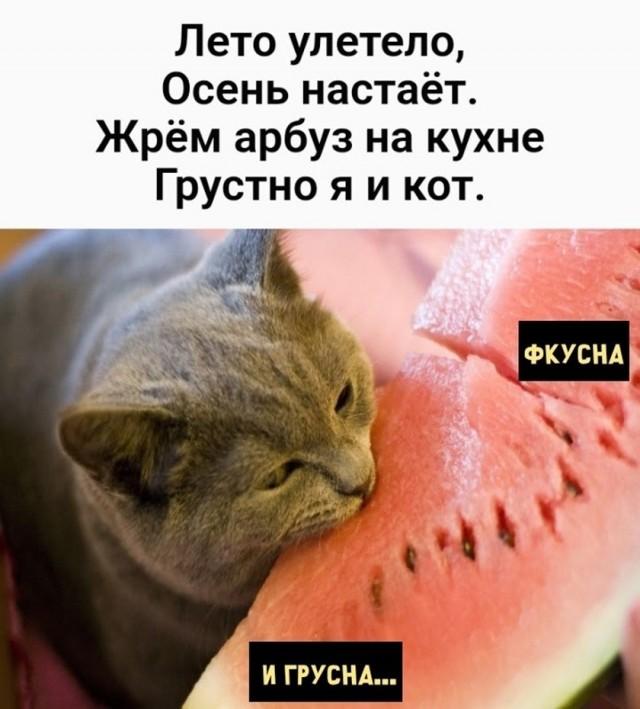 �������� ���������� ���� �4031 (30 ����)