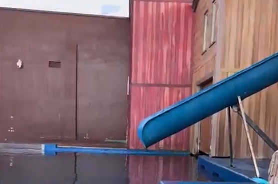 ����� ������� (�����)