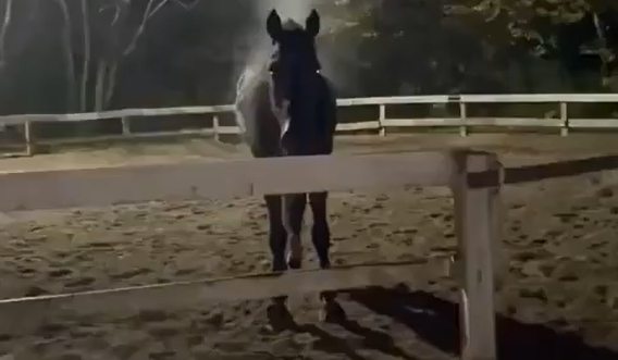 ������ ����� ���������� (�����)
