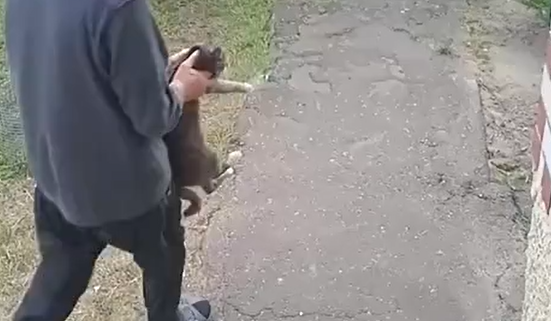 ����� ������ (�����)