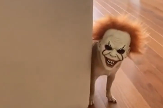 �������... (�����)