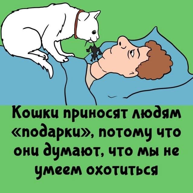 ���������� ����� �� ��� ������ ����� (15 ����)