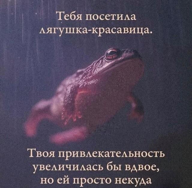 ������� �������� (15 ����)