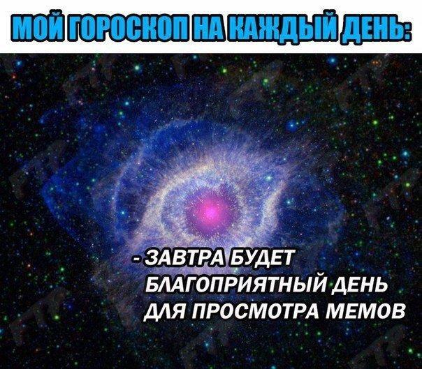 ������� ���� (15 ����)
