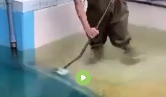 ���� ���� ��������� (�����)