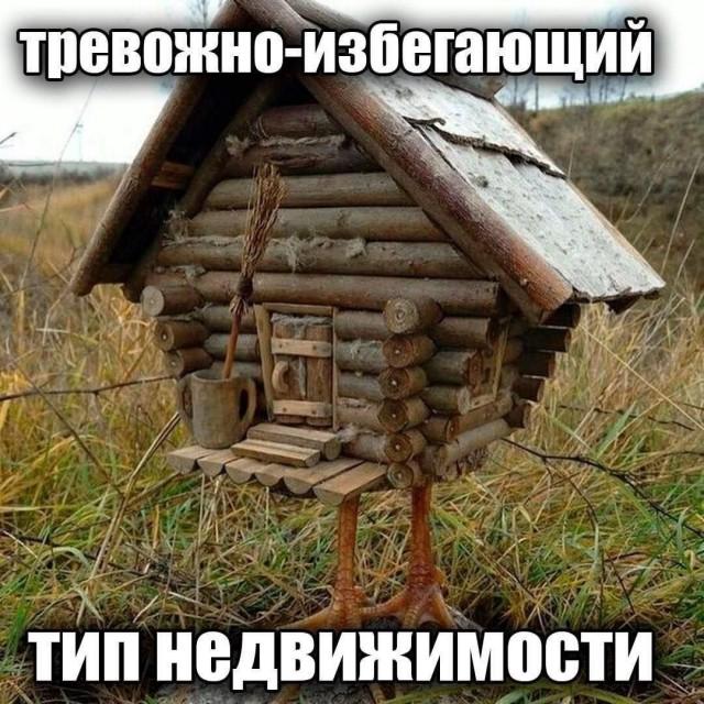 ������� �������� (15 ����)