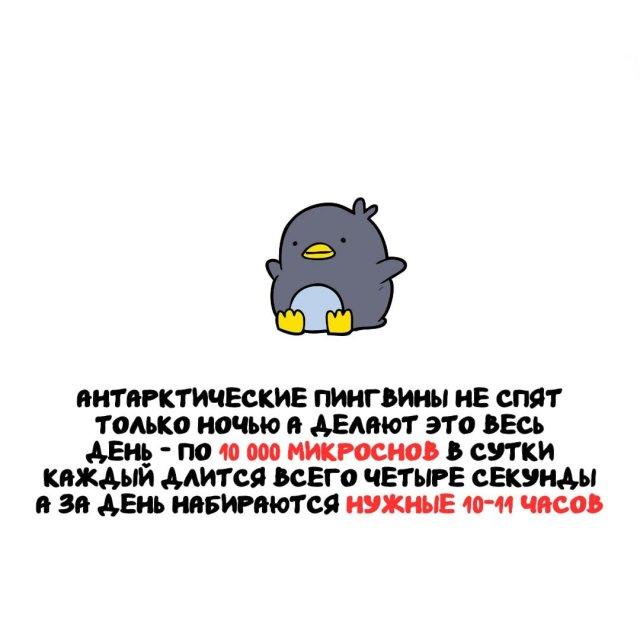 ���������� ����� �� ��� ������ ����� (15 ����)
