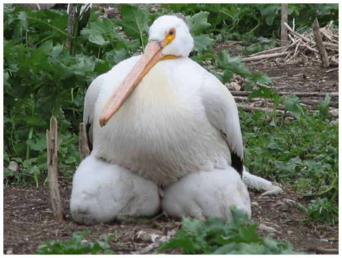 ���������� ����������, �� ������� ������� ��������� ������ (30 ����)