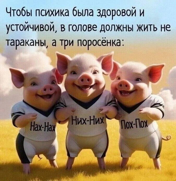 ������� �������� (15 ����)