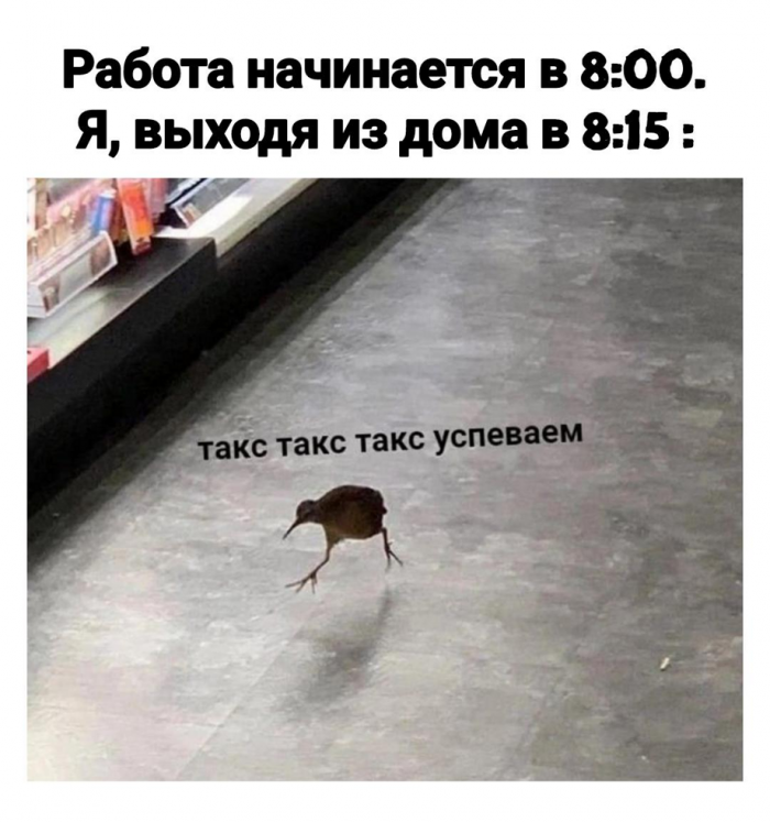 �������� ���������� ���� �4035 (30 ����)