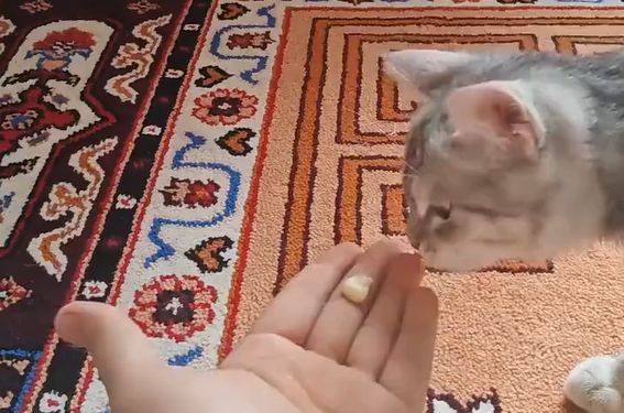 ������ � ���! (�����)