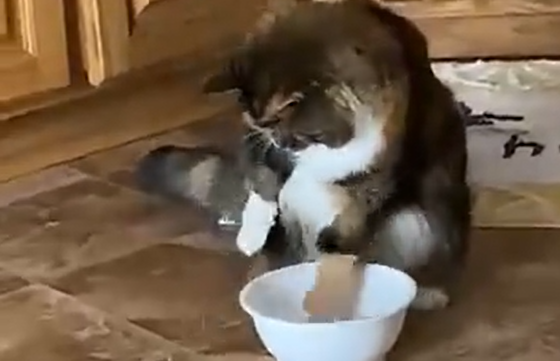 ����� ���� ���� ������ ���! (�����)