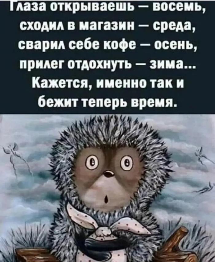 �������� ���������� ���� �4036 (30 ����)