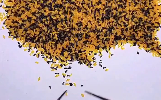 ���� ����� �����... (�����)
