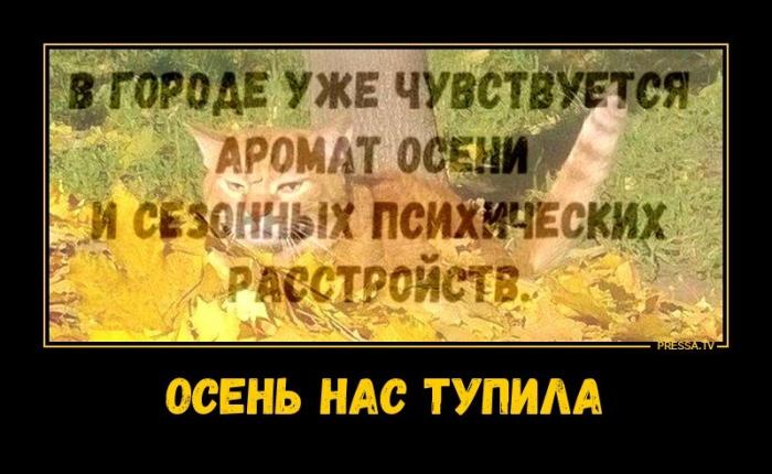 ������������ �3817 (20 ����)