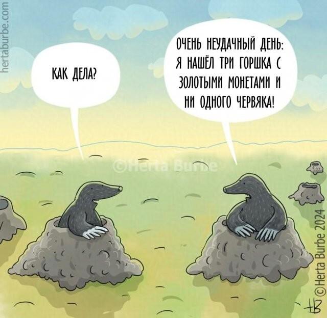 ������� �������� (15 ����)