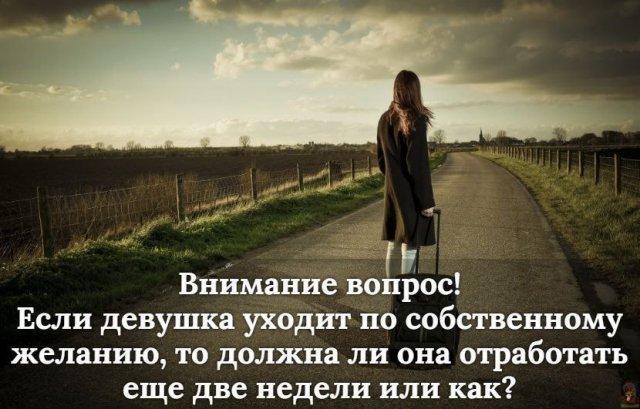 ������ ����� � ���� �� ���� (15 ����)