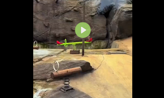 ����� �������� ��������� (�����)