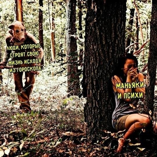 ������� ���� (15 ����)