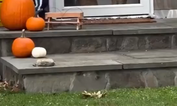 ������� ����� ��������... (�����)