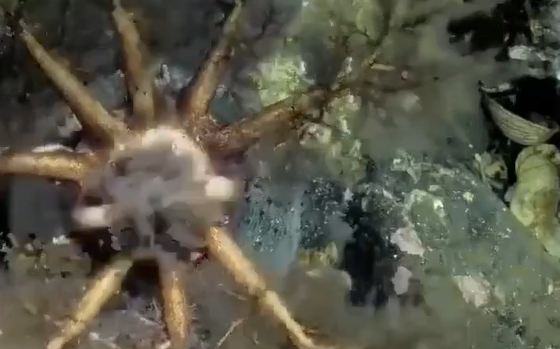 ��� �������� ������� ������... (�����)