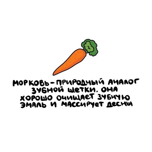 ���������� ����� �� ��� ������ ����� (15 ����)