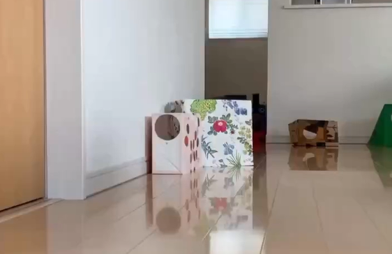 ����� ������ �����, ��� ����� ��� (�����)