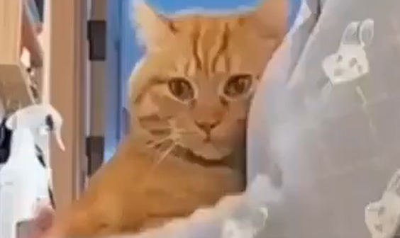 ������ ����� � ����, ��� ����� (�����)