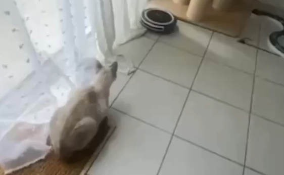 ����� ���� ���� ������ �� ����� (�����)