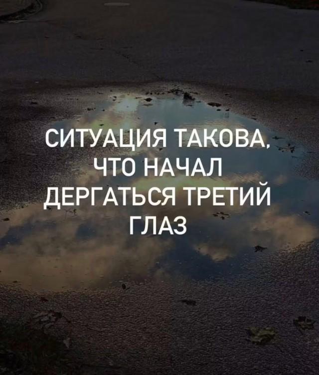 �������� ���������� ���� �4041 (30 ����)