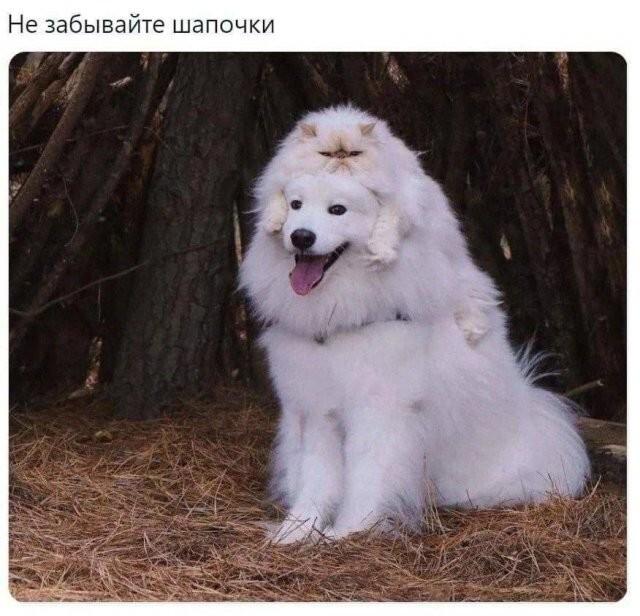 ������� �������� (15 ����)