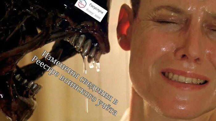 ������� ���� (15 ����)
