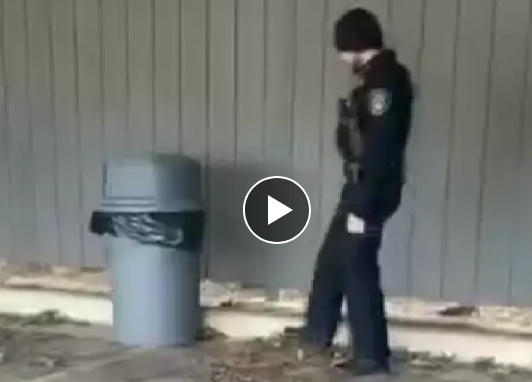 ���� ������ � ������ � ������ (�����)