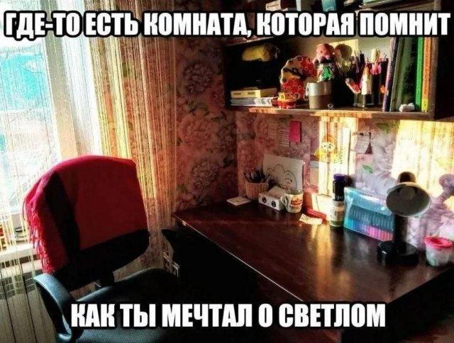 ������� �������� (15 ����)