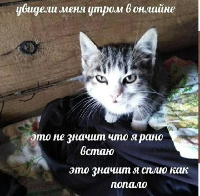 ������� �������� (15 ����)