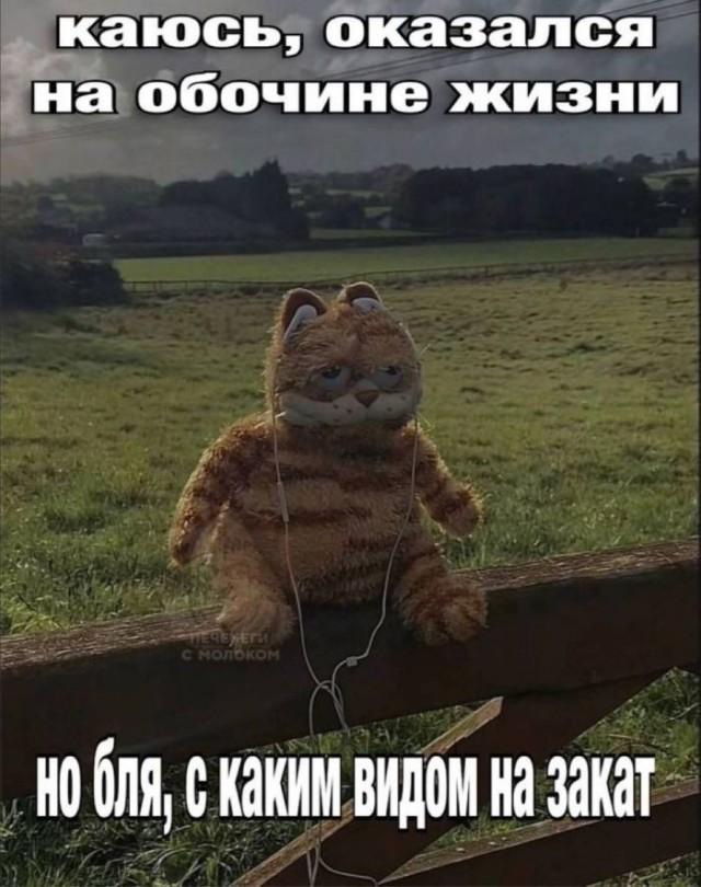 ������ ����� � ���� �� ���� (15 ����)